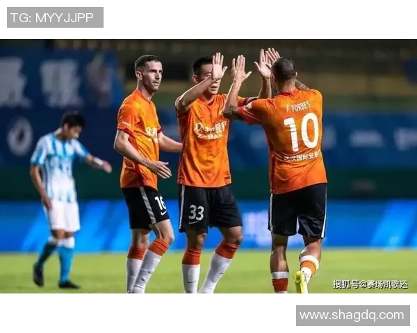 赞岐与新泻天鹅的激烈对决谁能在赛场上笑到最后